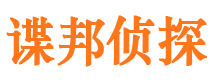 应城市私家侦探